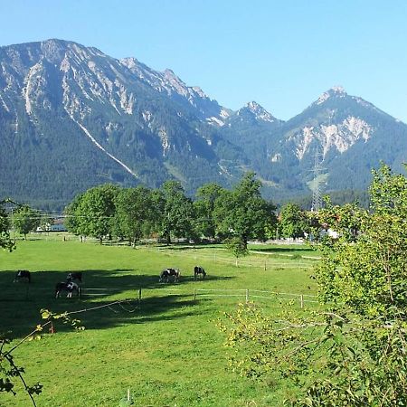 Gutshof Zum Schluxen Appartement Pinswang Buitenkant foto