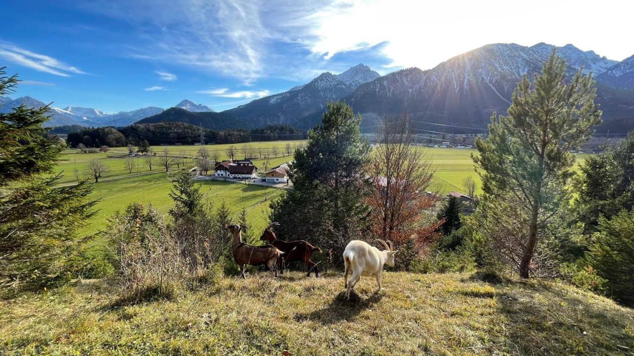 Gutshof Zum Schluxen Appartement Pinswang Buitenkant foto