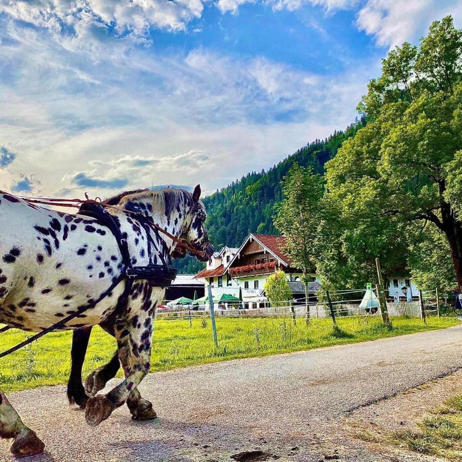Gutshof Zum Schluxen Appartement Pinswang Buitenkant foto