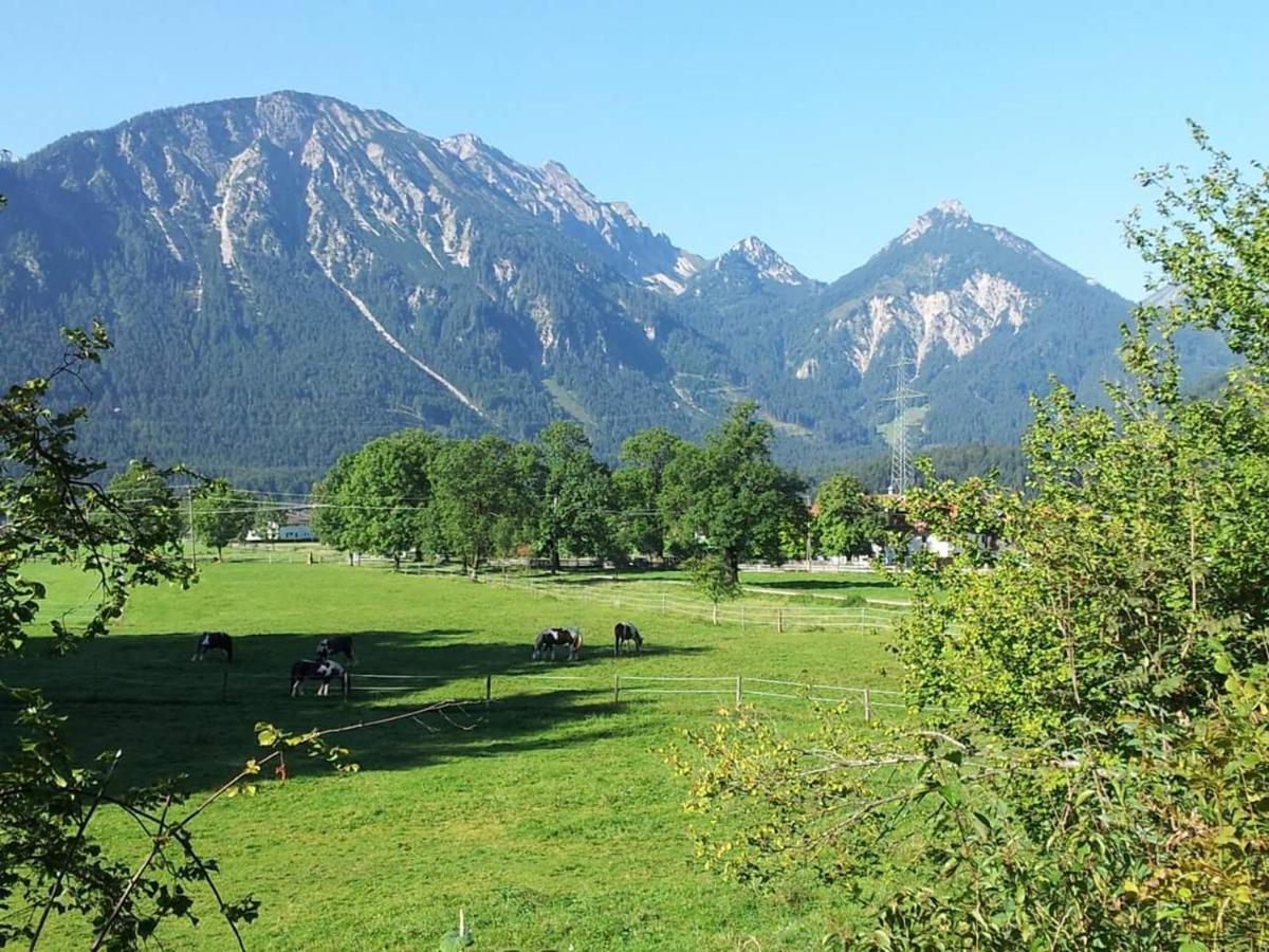 Gutshof Zum Schluxen Appartement Pinswang Buitenkant foto