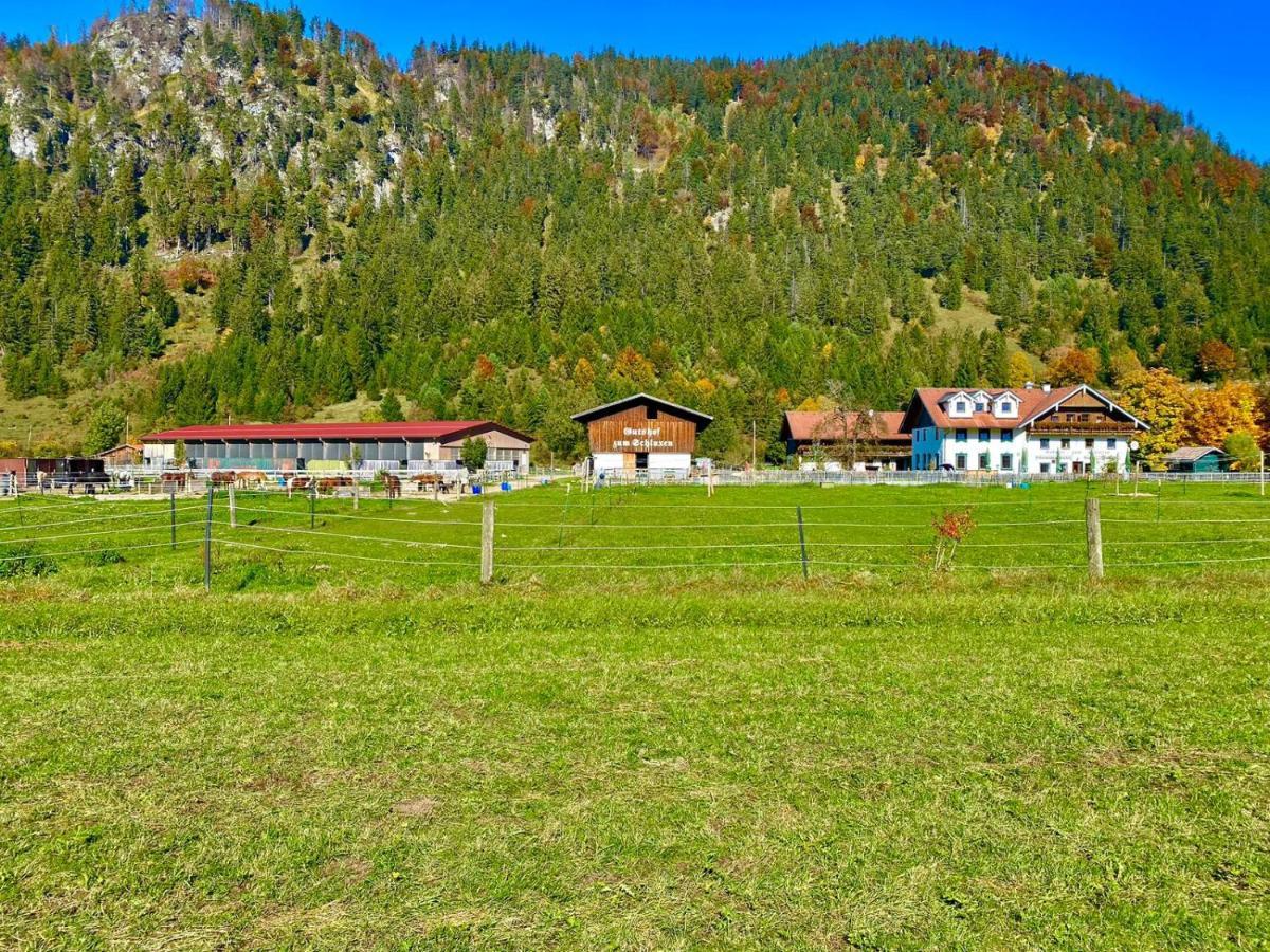 Gutshof Zum Schluxen Appartement Pinswang Buitenkant foto