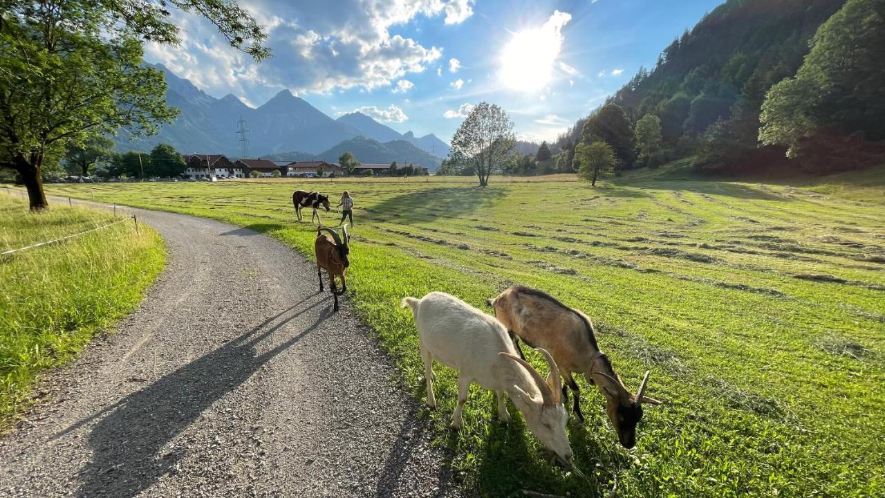 Gutshof Zum Schluxen Appartement Pinswang Buitenkant foto