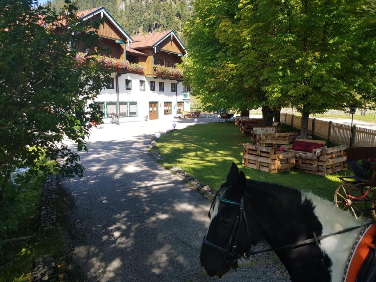 Gutshof Zum Schluxen Appartement Pinswang Buitenkant foto